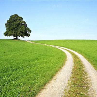 半岛·综合中国官方网站