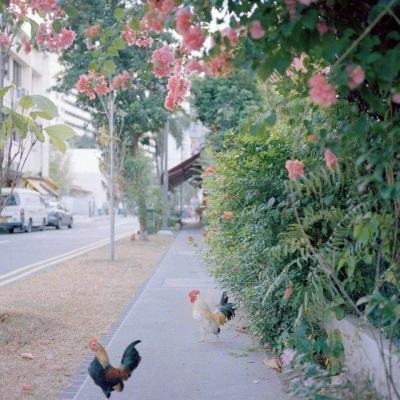 三亿体育下载手机版截图