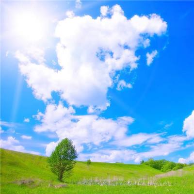 365体育官方唯一入口下载手机版截图