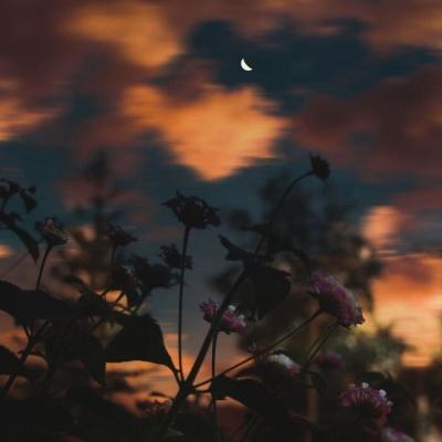 中欧·体育(KOK)中国官方网站截图